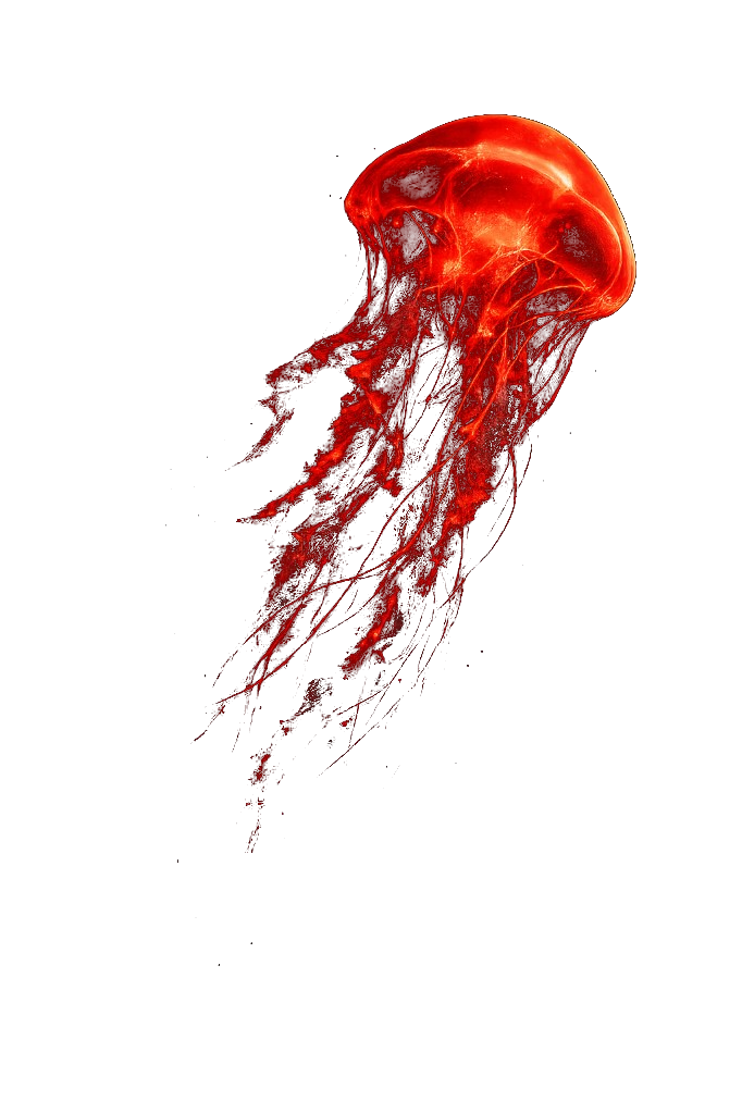 Red jellyfish with transparent background